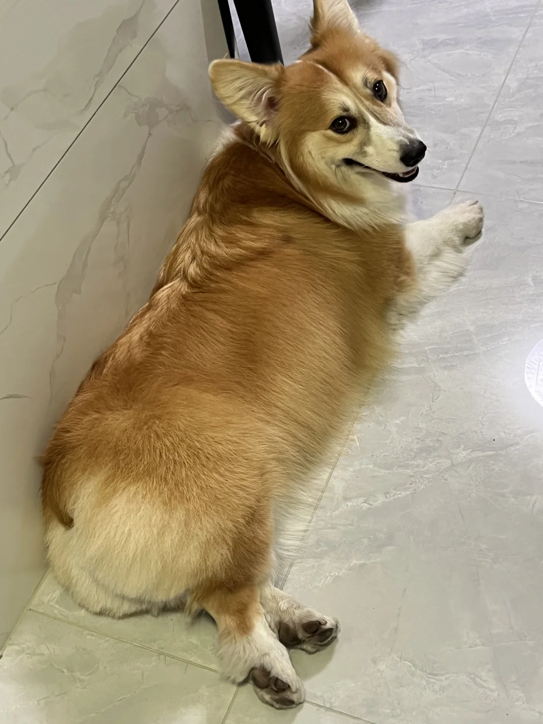 你有这么妩媚的身姿进入中国