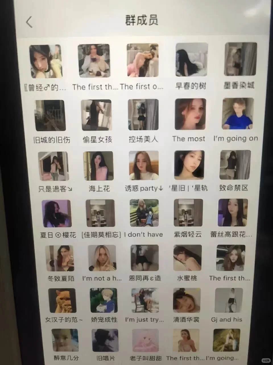 我不允许你们不知道这个圈子！