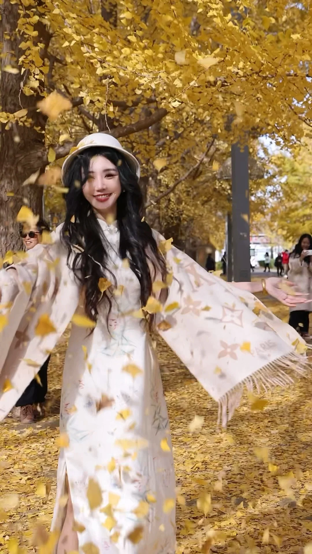 北平的秋🍂|银杏拍摄攻略