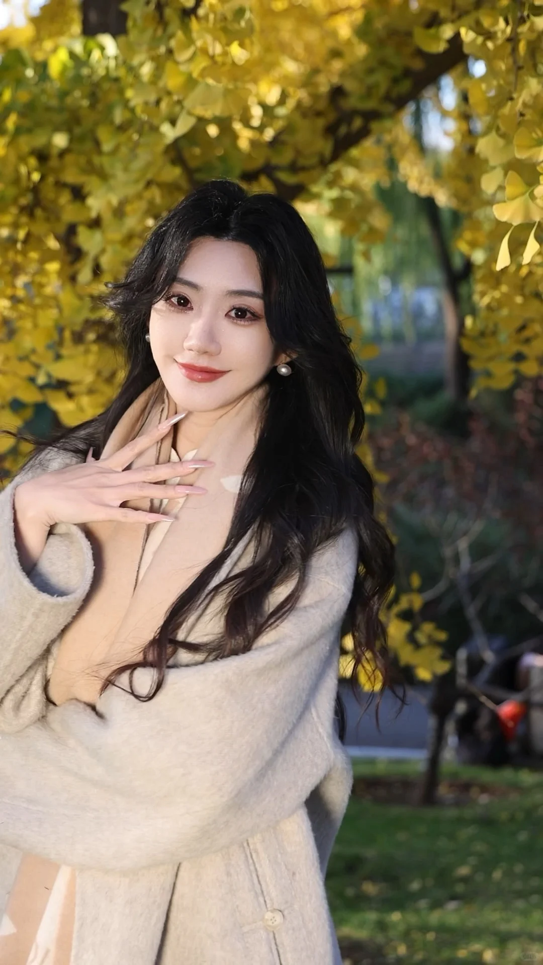 北平的秋🍂|银杏拍摄攻略