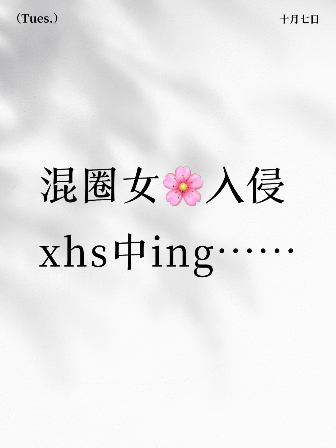 混圈女🌸入侵xhs中ing……