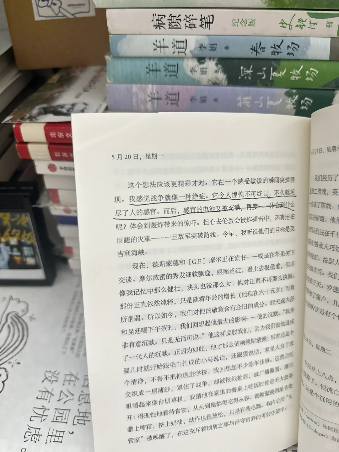 已读|067 《思考就是我的抵抗》