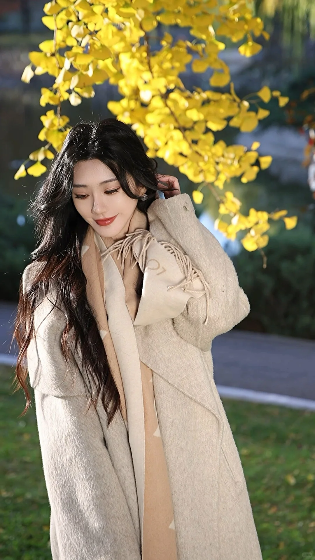 北平的秋🍂|银杏拍摄攻略