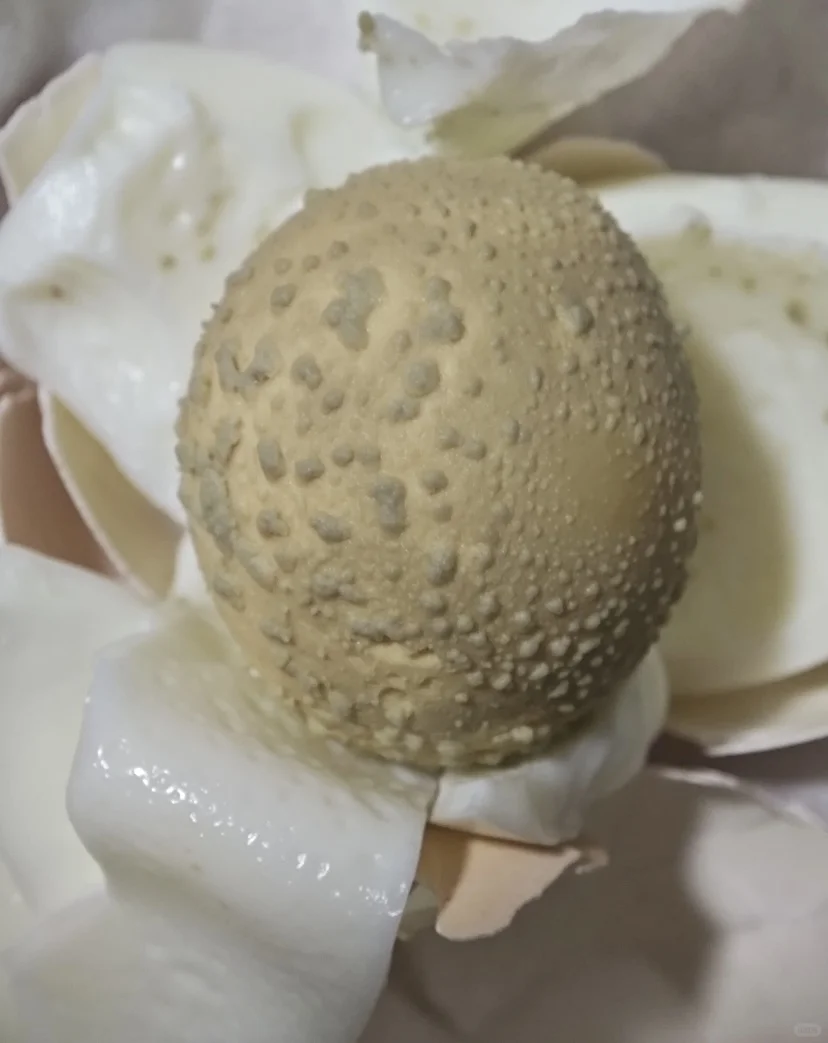 意外发现滚鸡蛋能让胸起到C