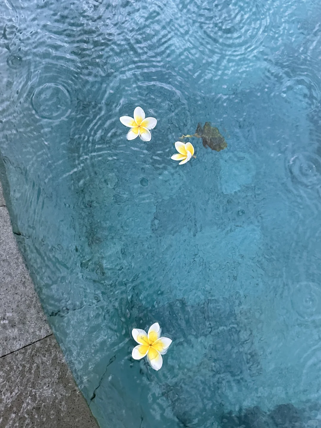 在乌布两百块就能住上的泳池别墅~