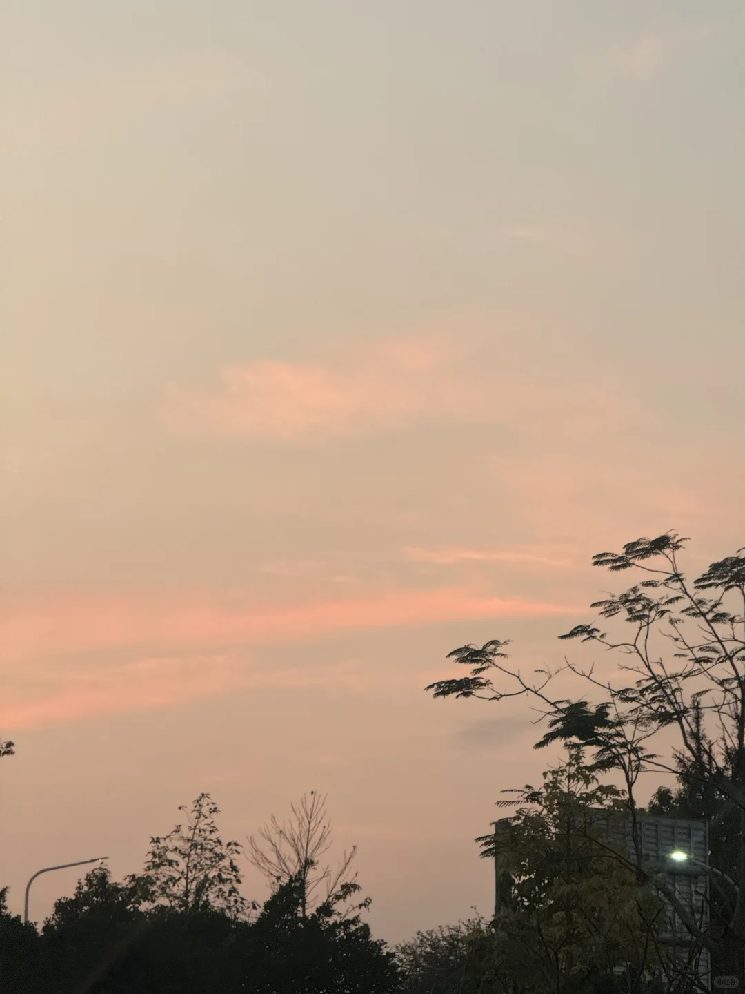 穿好看衣服上班真是一件好幸福的事情呀！💐