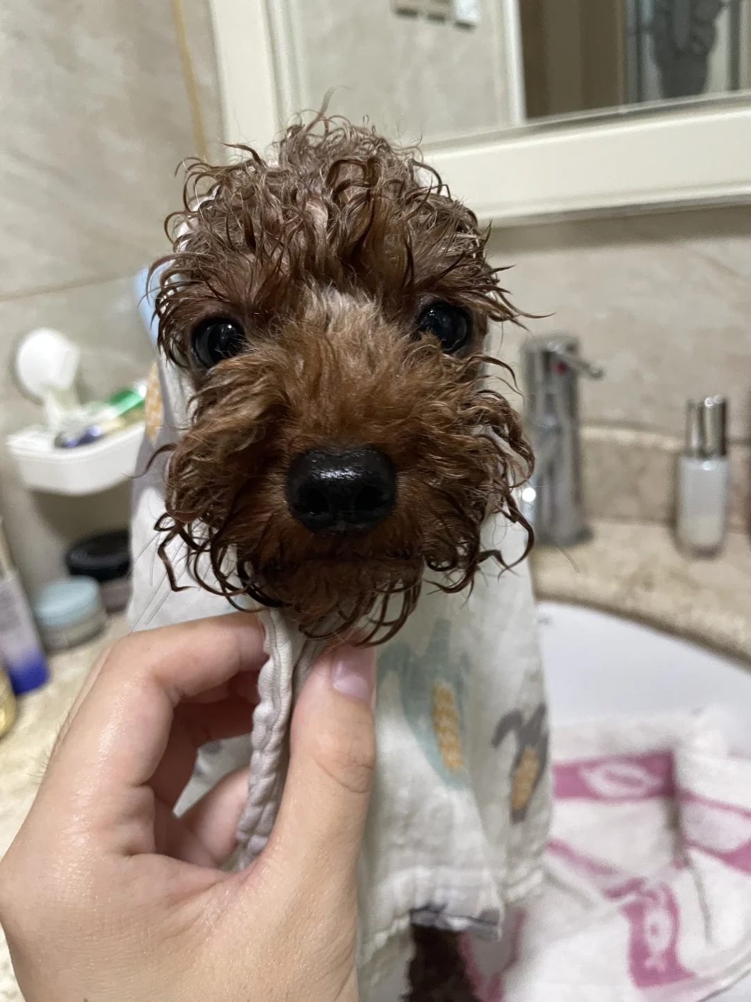 最近的生活记录!