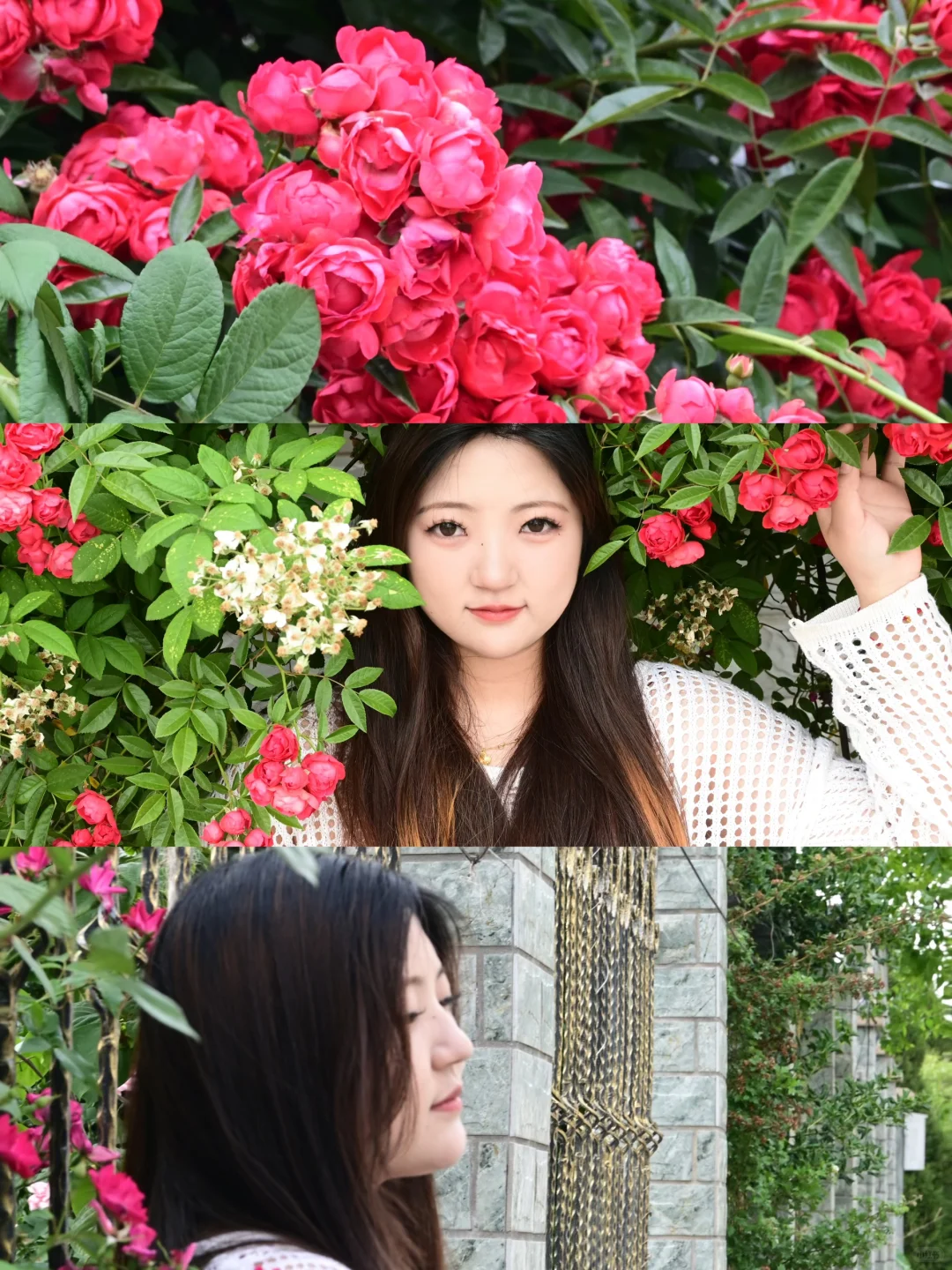 是花朵 是浪漫 是怦然心动