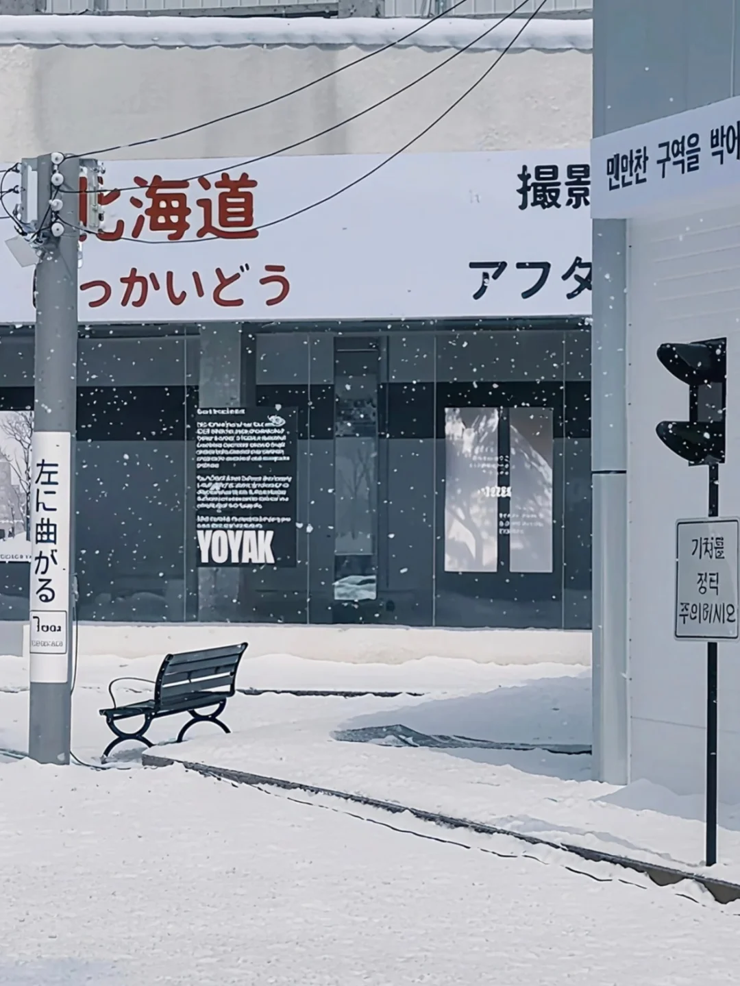 36°的下雪天🌨️承包重庆接下来三个月的