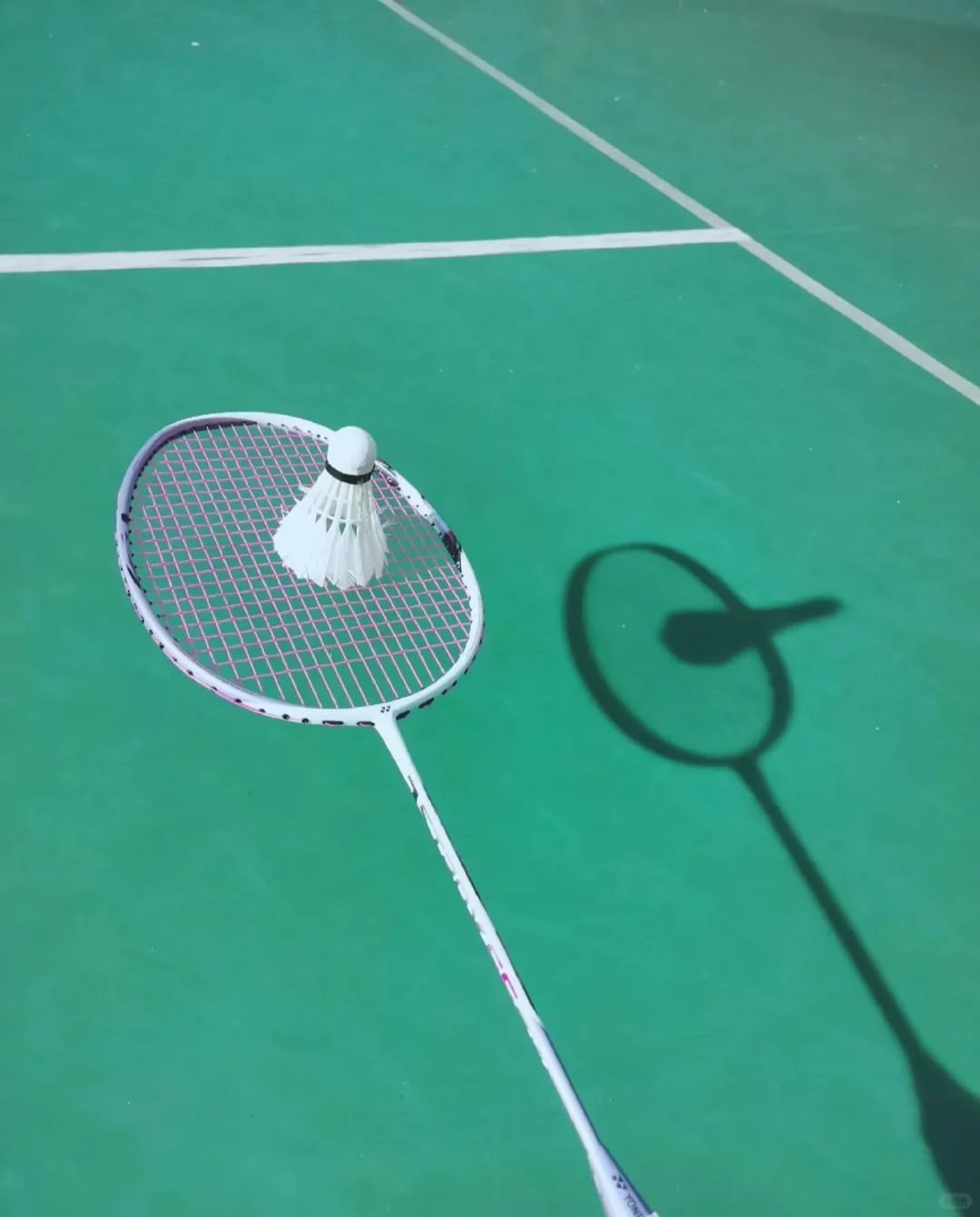 💪100天运动打卡挑战！🏸羽毛球的魅力