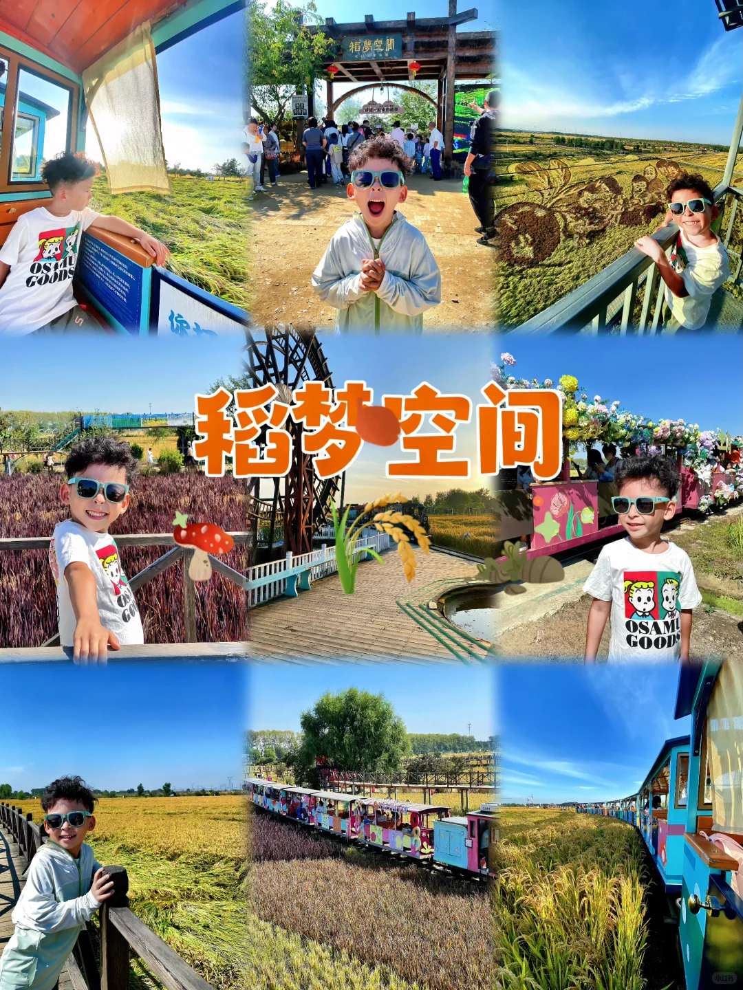 稻梦空间🌾秋天一定要来的🍂