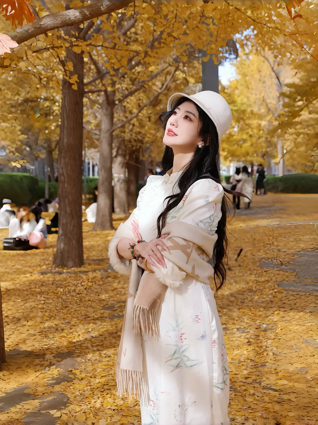 北平的秋🍂|银杏拍摄攻略