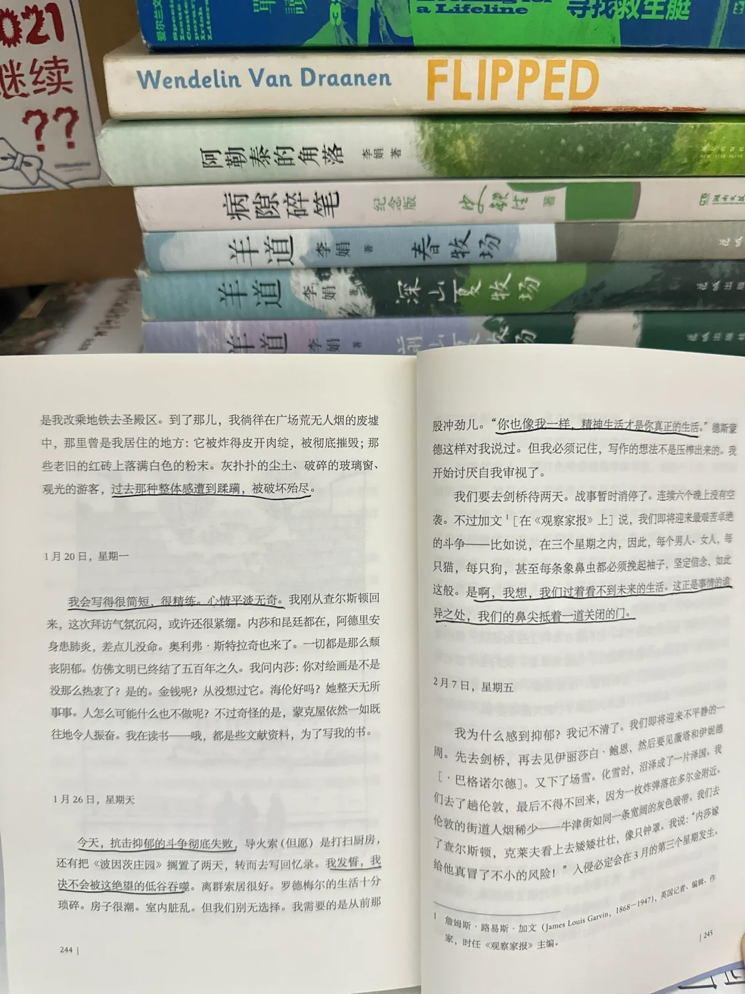 已读|067 《思考就是我的抵抗》