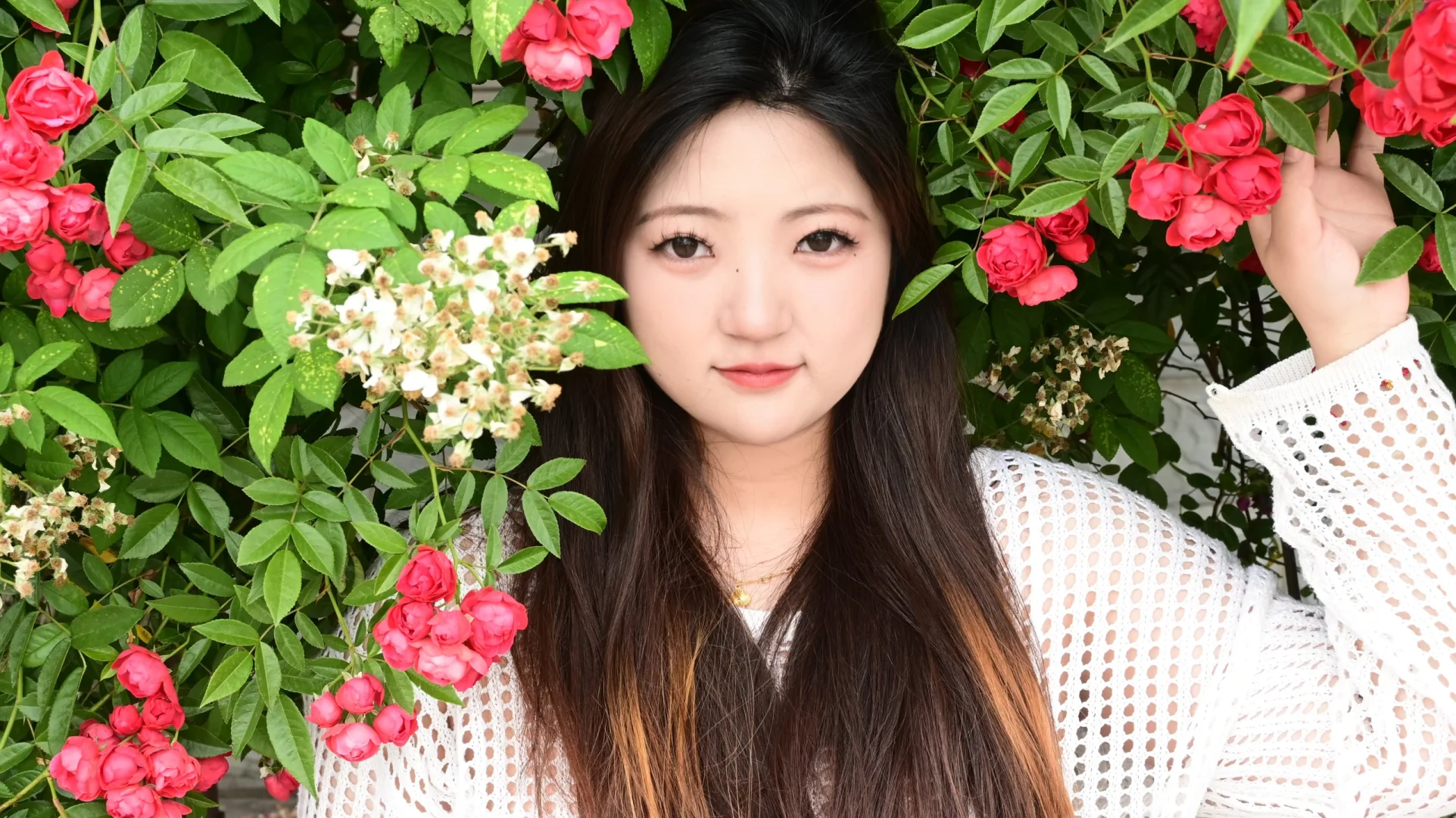 是花朵 是浪漫 是怦然心动