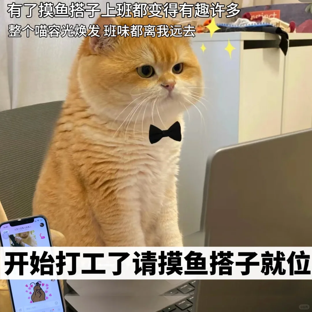 上班苦不苦😫，纯看摸🐟搭子找的好不好！
