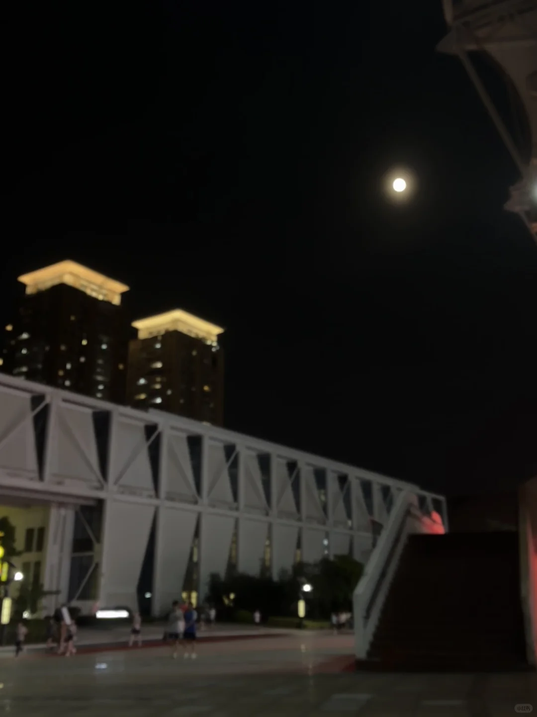 🌙 8月夜跑战绩：100公里✅