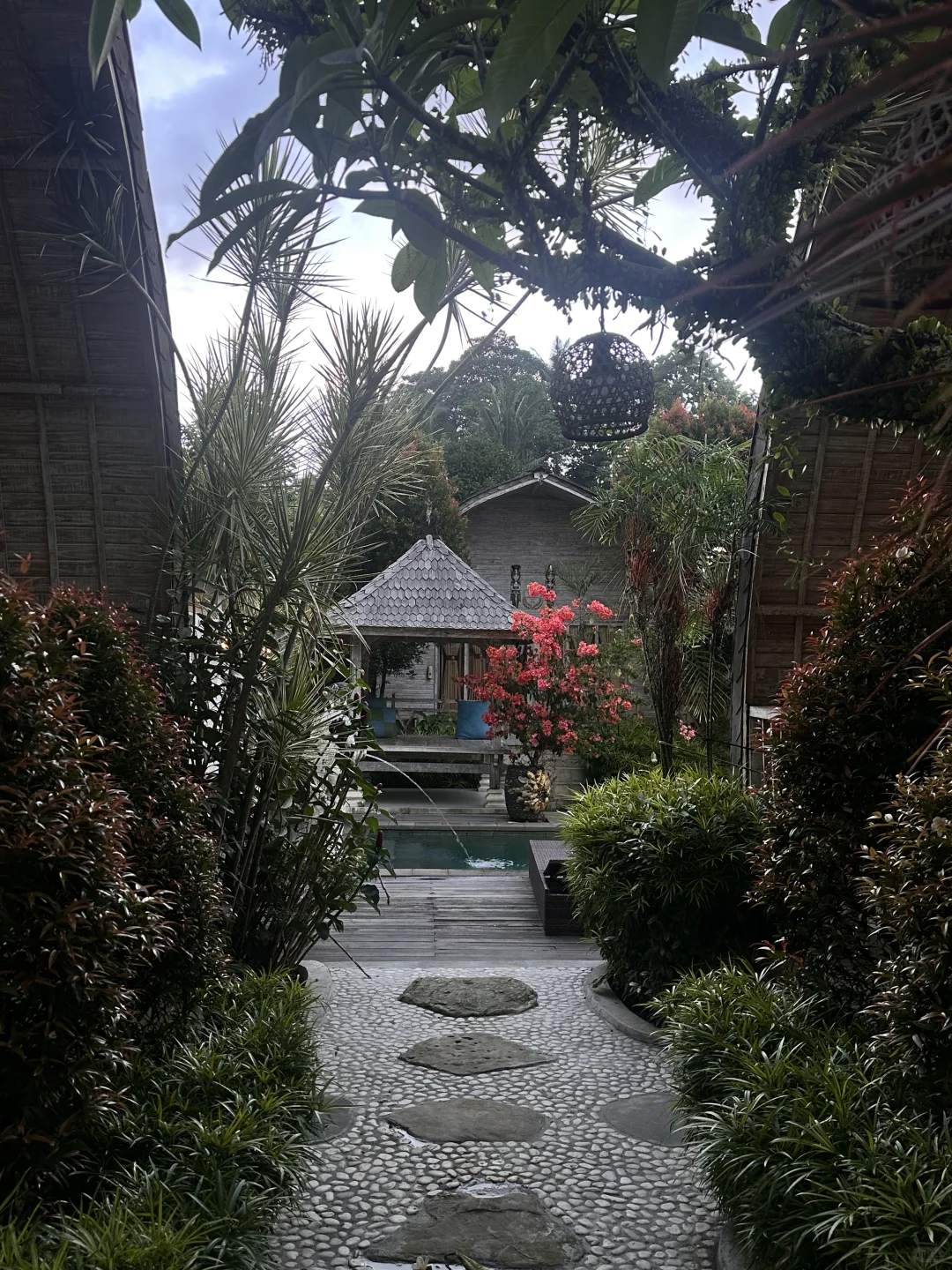 在乌布两百块就能住上的泳池别墅~