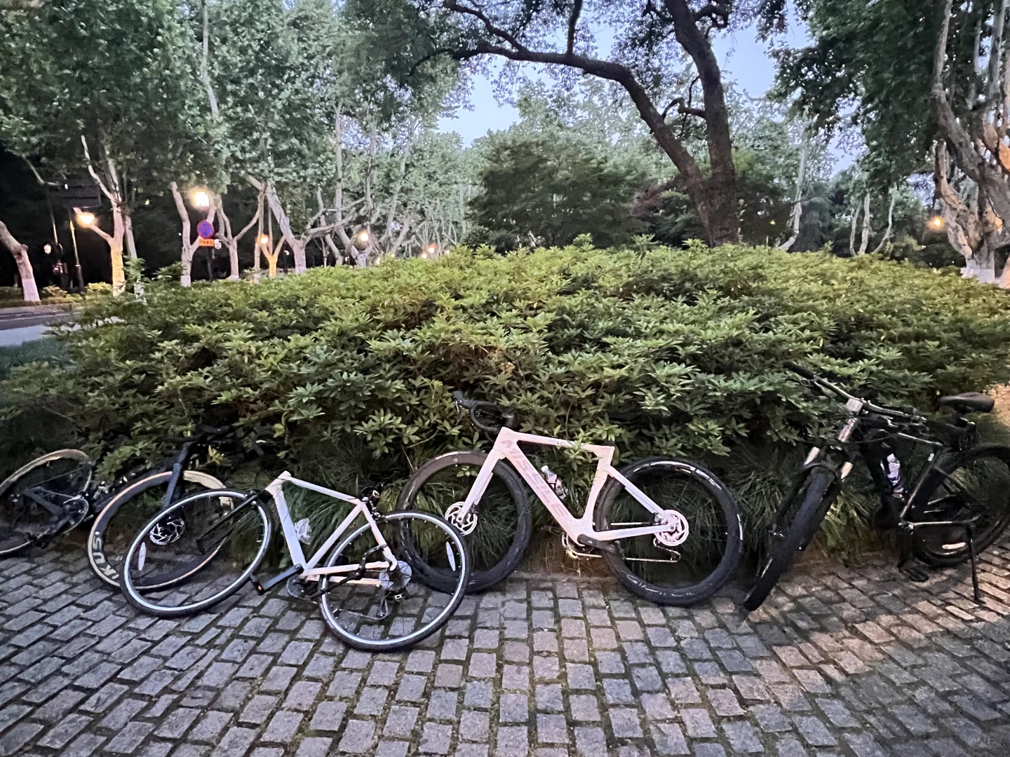 找个志同道合的人对抗淡淡死感