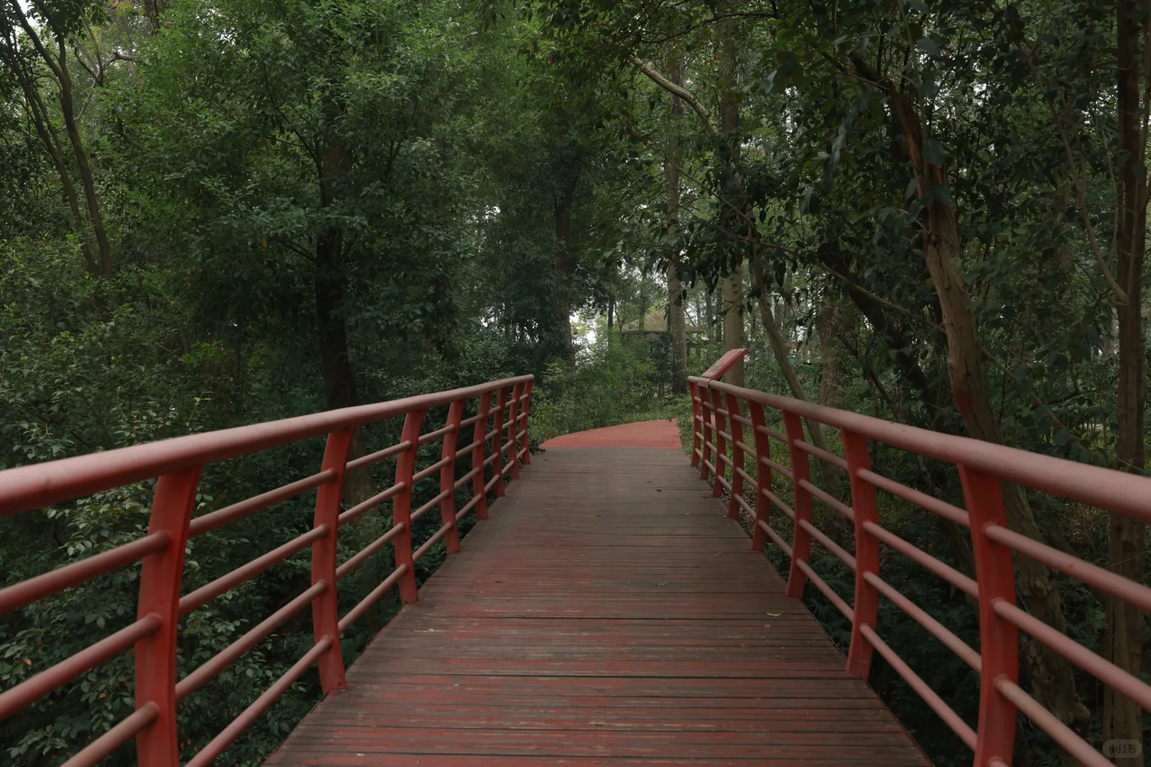 在岳阳发现一个很合适拍日系jk的位置