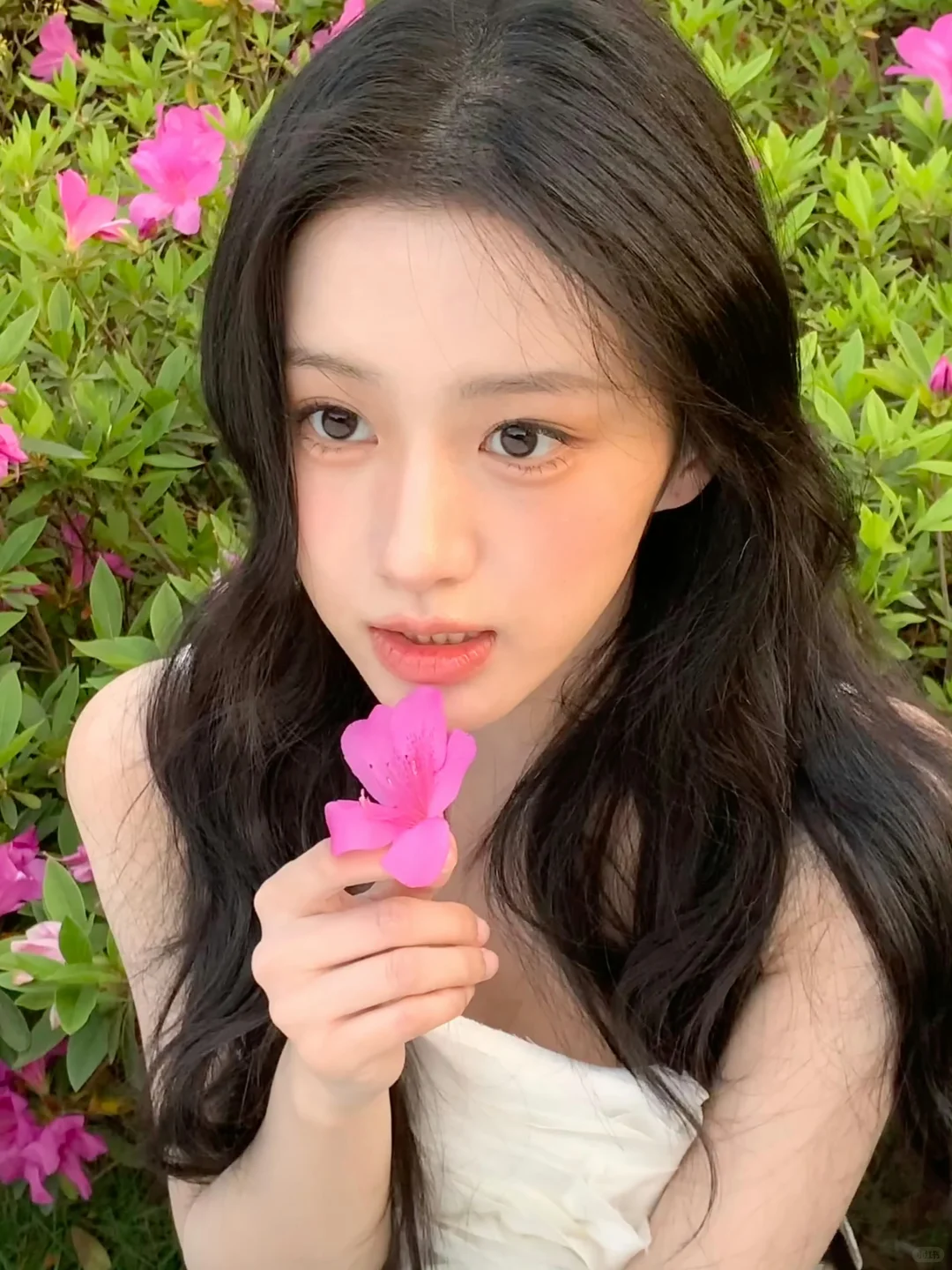 花仙子降临 包上恩头像🌸