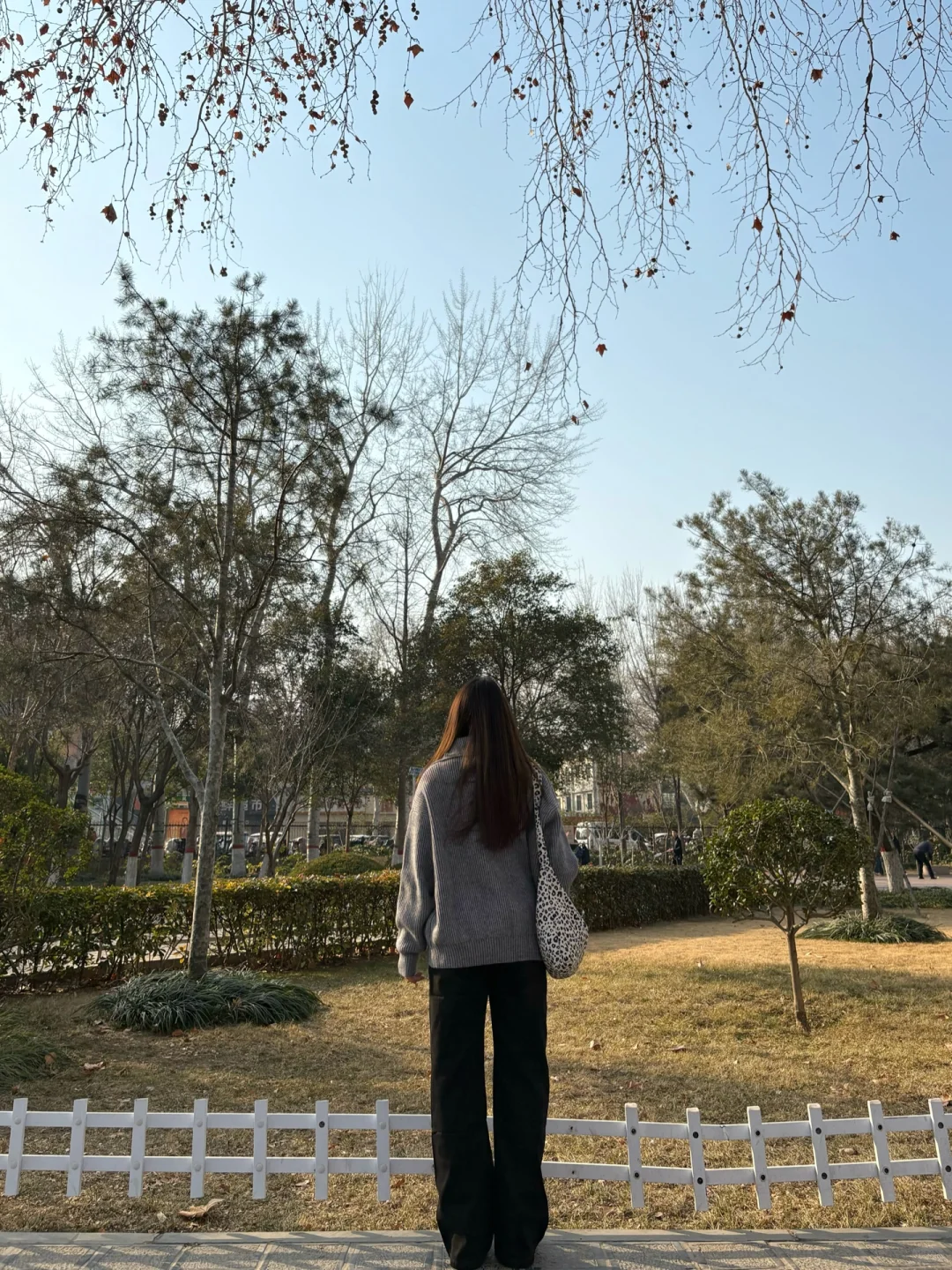163 136斤 大胸微胖🫧开春韩系穿搭～