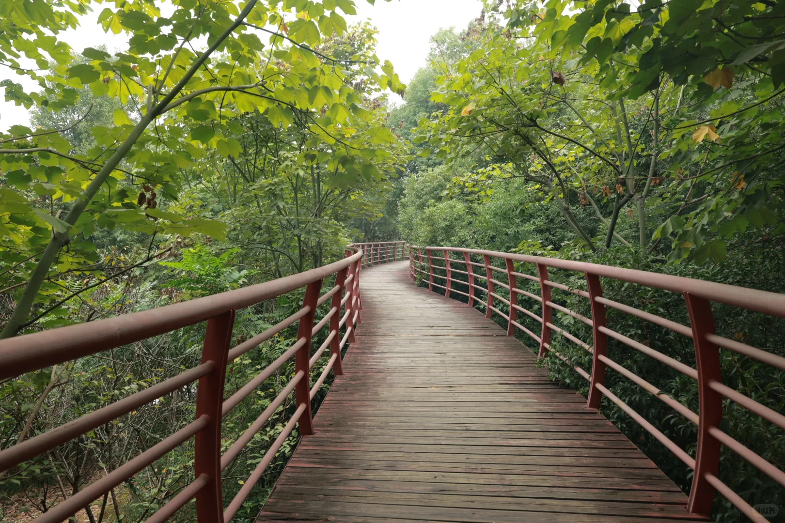 在岳阳发现一个很合适拍日系jk的位置