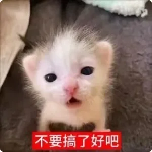 很喜欢的一只meme