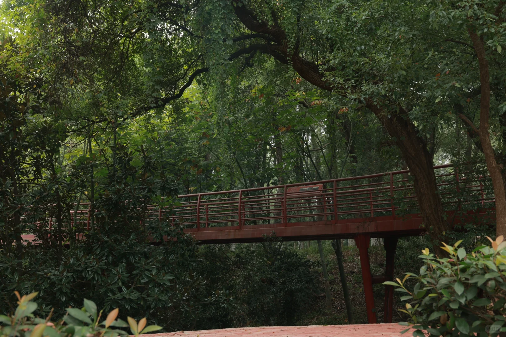 在岳阳发现一个很合适拍日系jk的位置