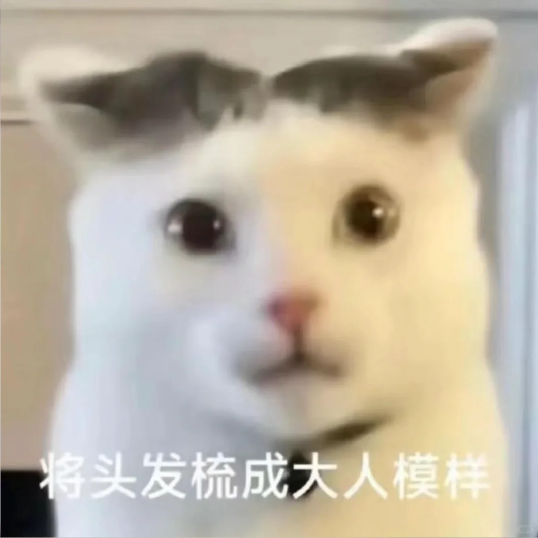 跟我聊天请给我发抽象表情包