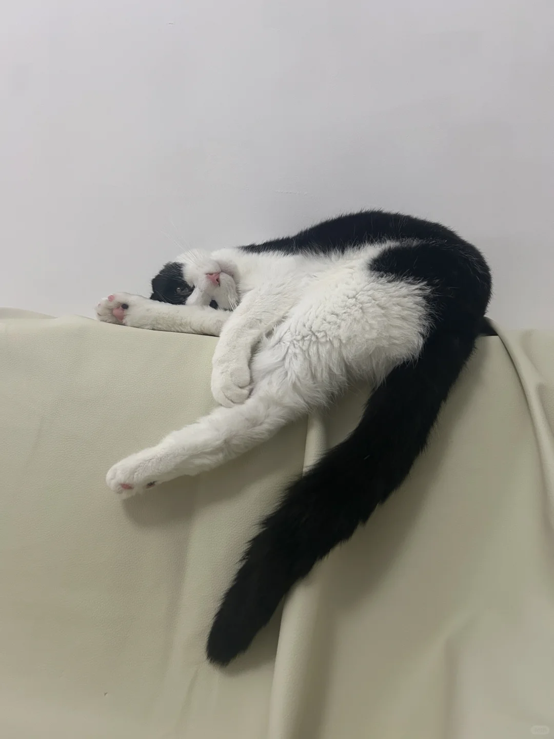 妖娆什么呢小宝贝