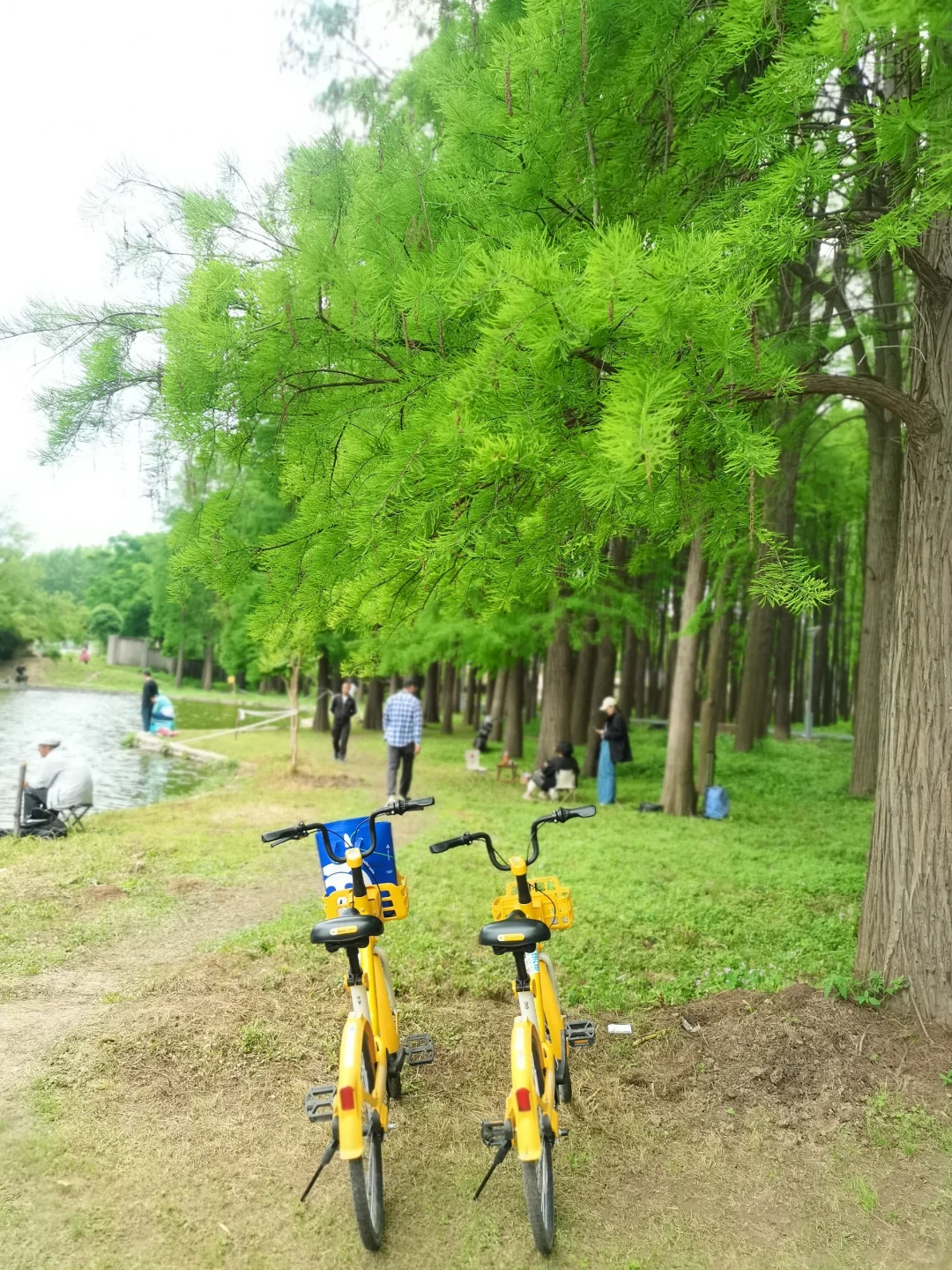 迈出腿跑步🏃🏻20km