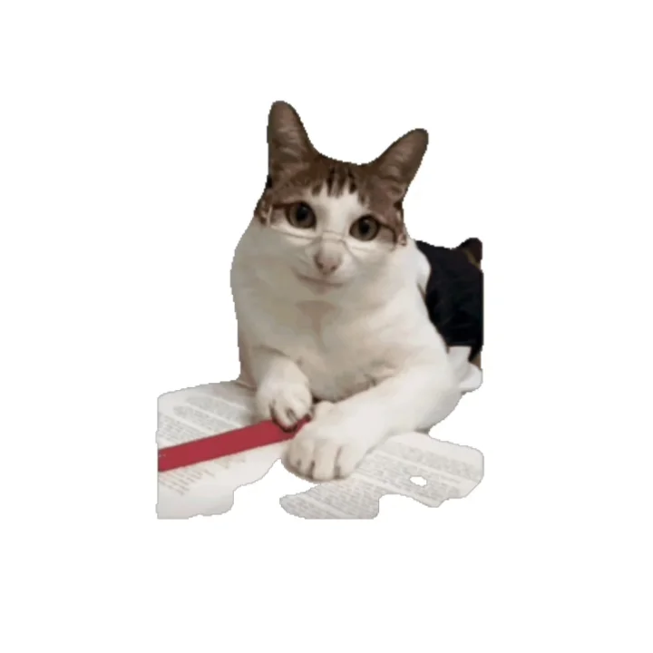 meme猫表情包第一弹
