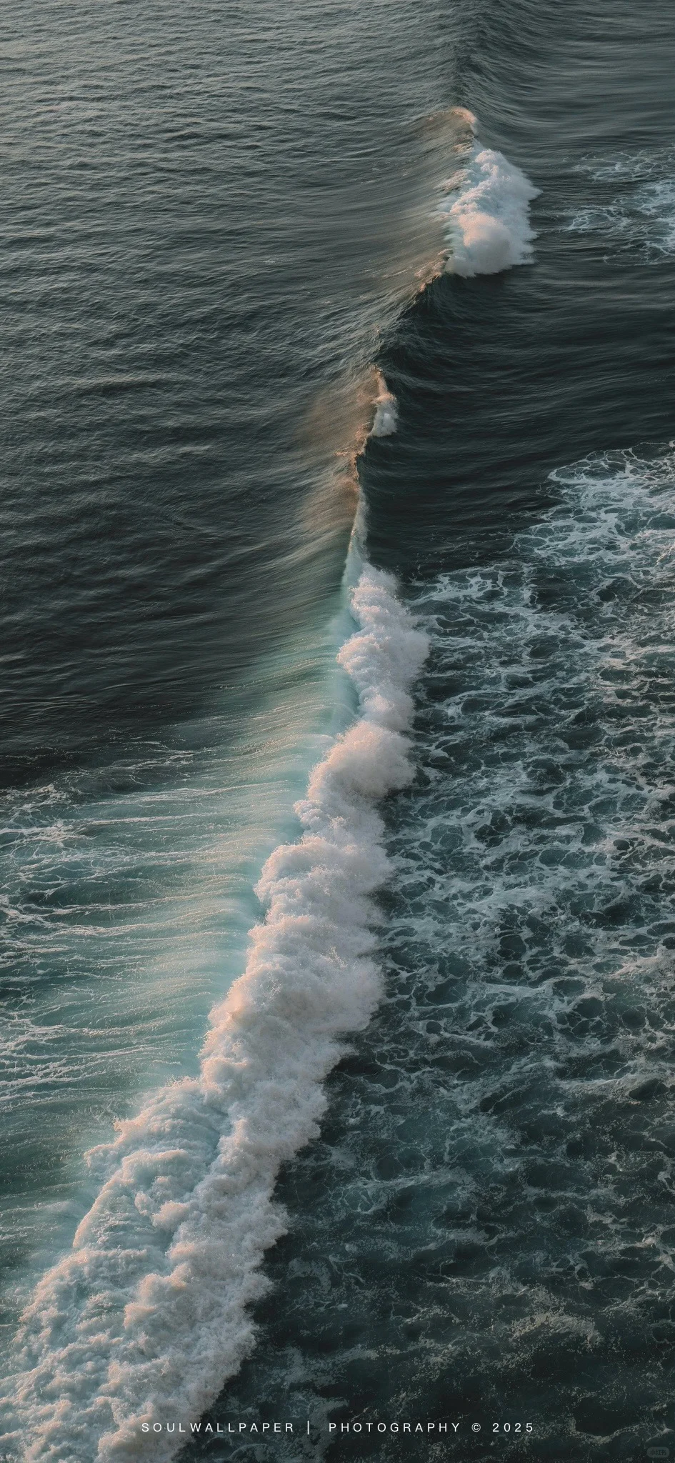 Free Rhythm🏄丨壁纸Wallpaper