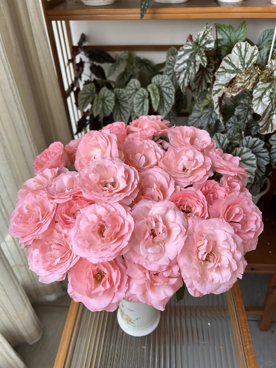 答应我！这个花闭眼冲好吗！