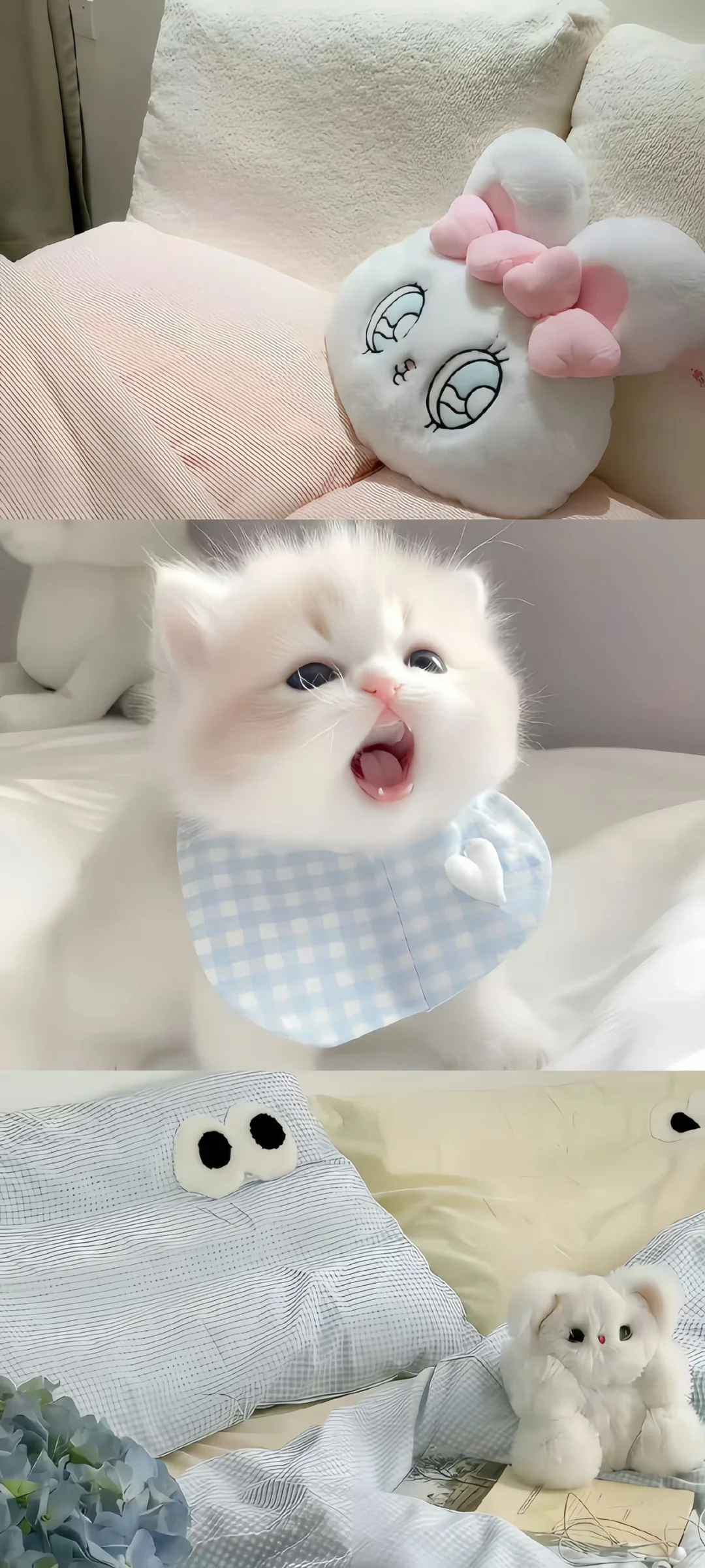share壁纸｜拼接