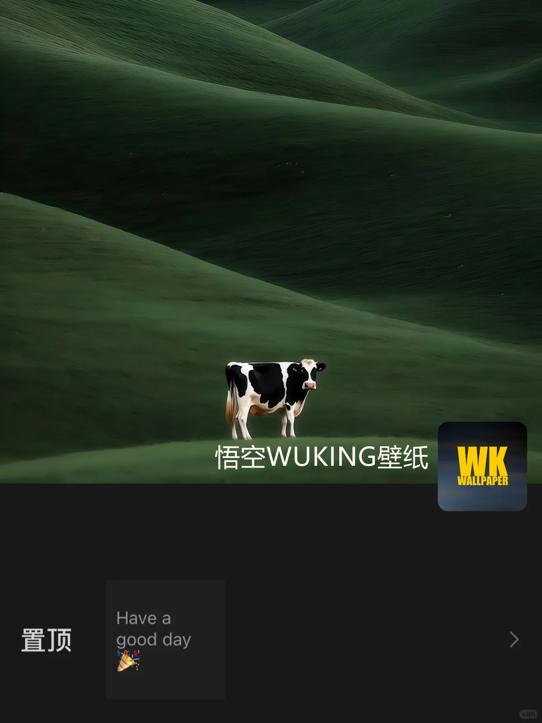分享｜草原奶牛哞哞哞