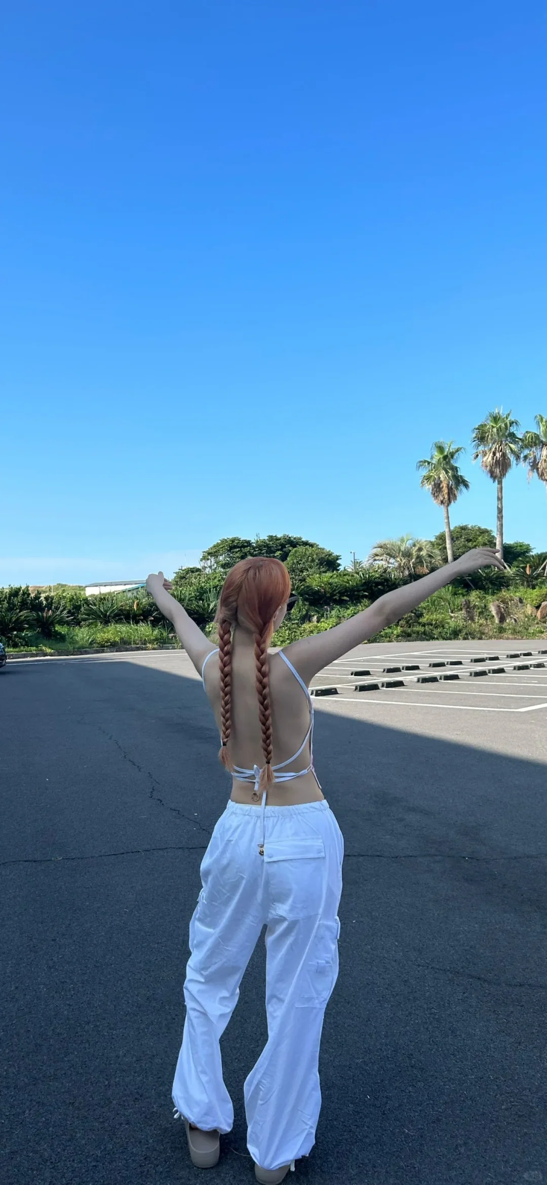 自由与氛围感壁纸～