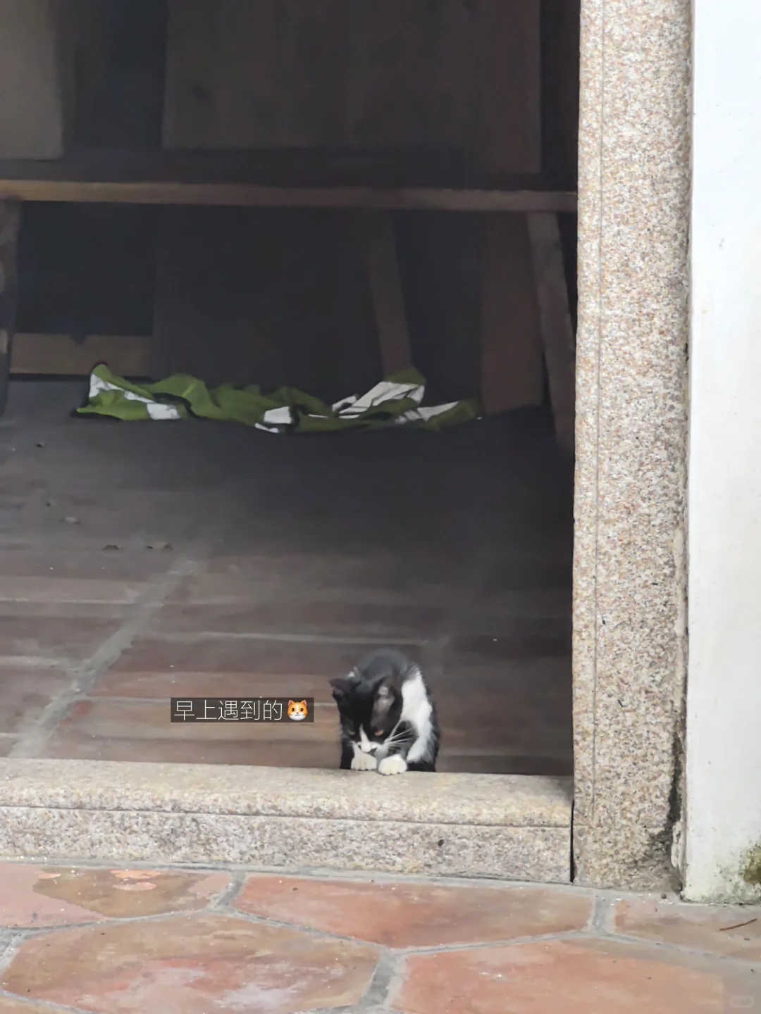 开车两个钟 游泳半小时🏊🏻♀️