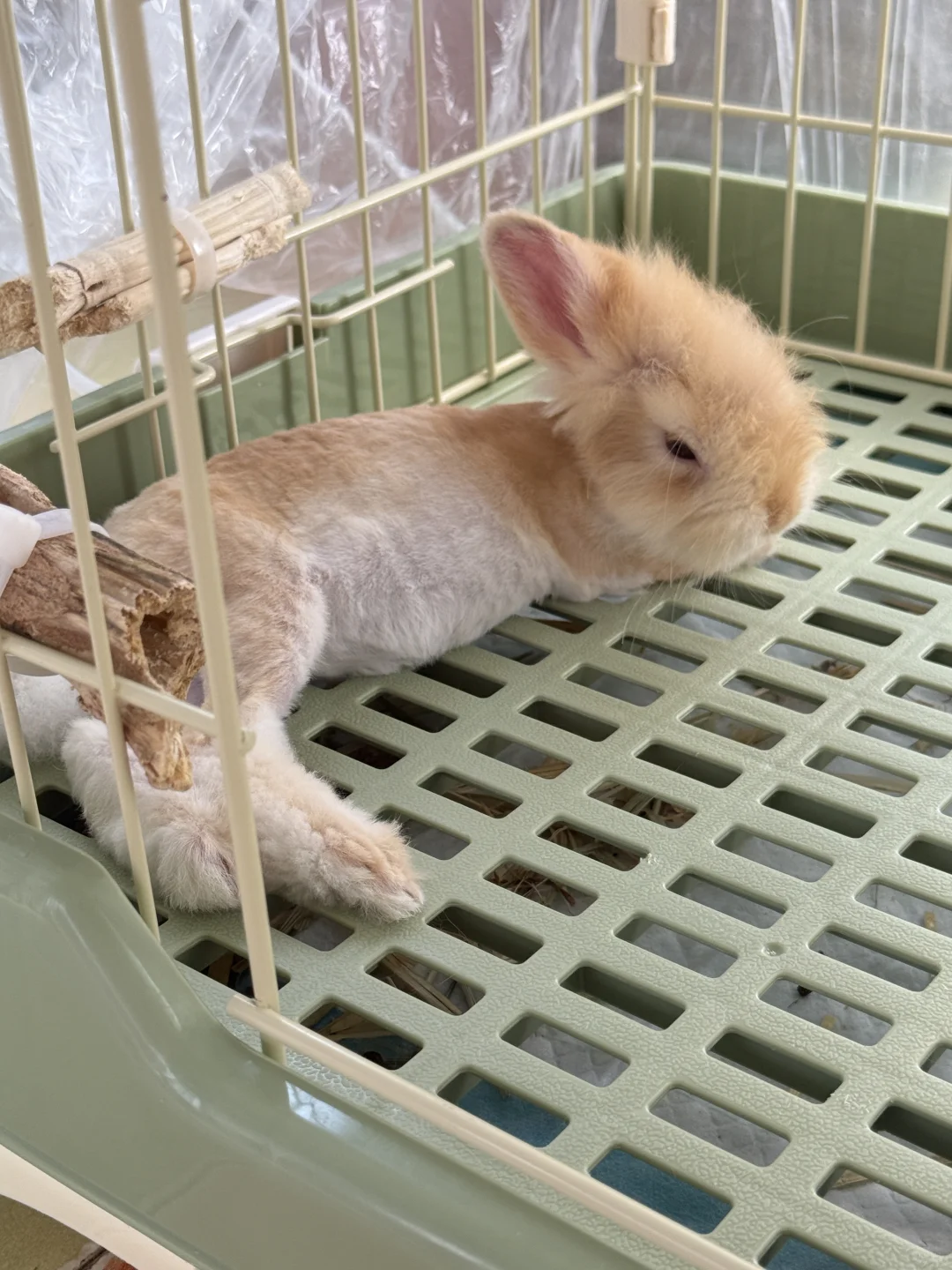 这身材好妖娆🤣