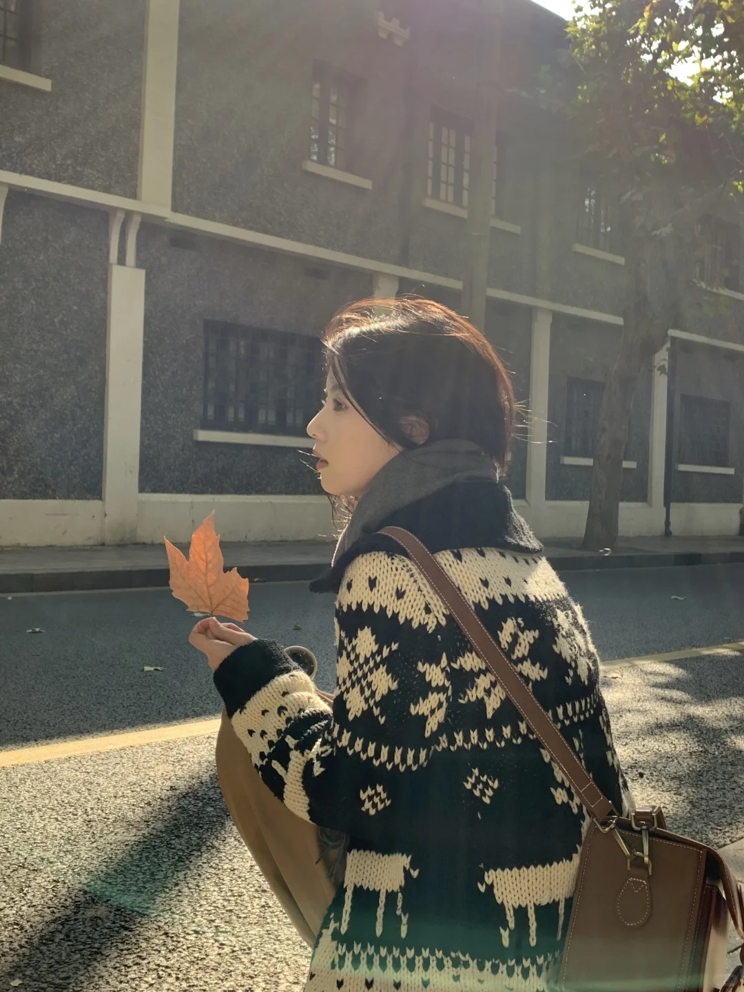 时间停留的瞬间是live图给的