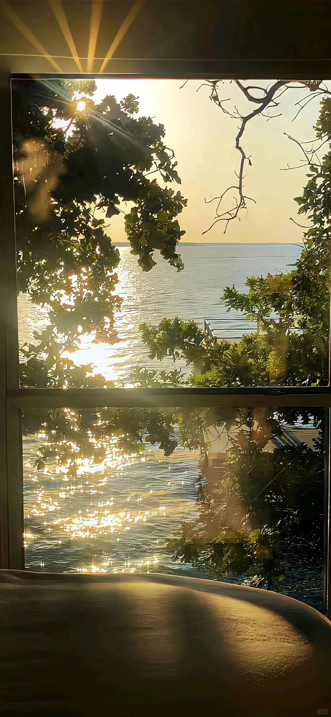 𝐒𝐡𝐚𝐫𝐞丨壁纸