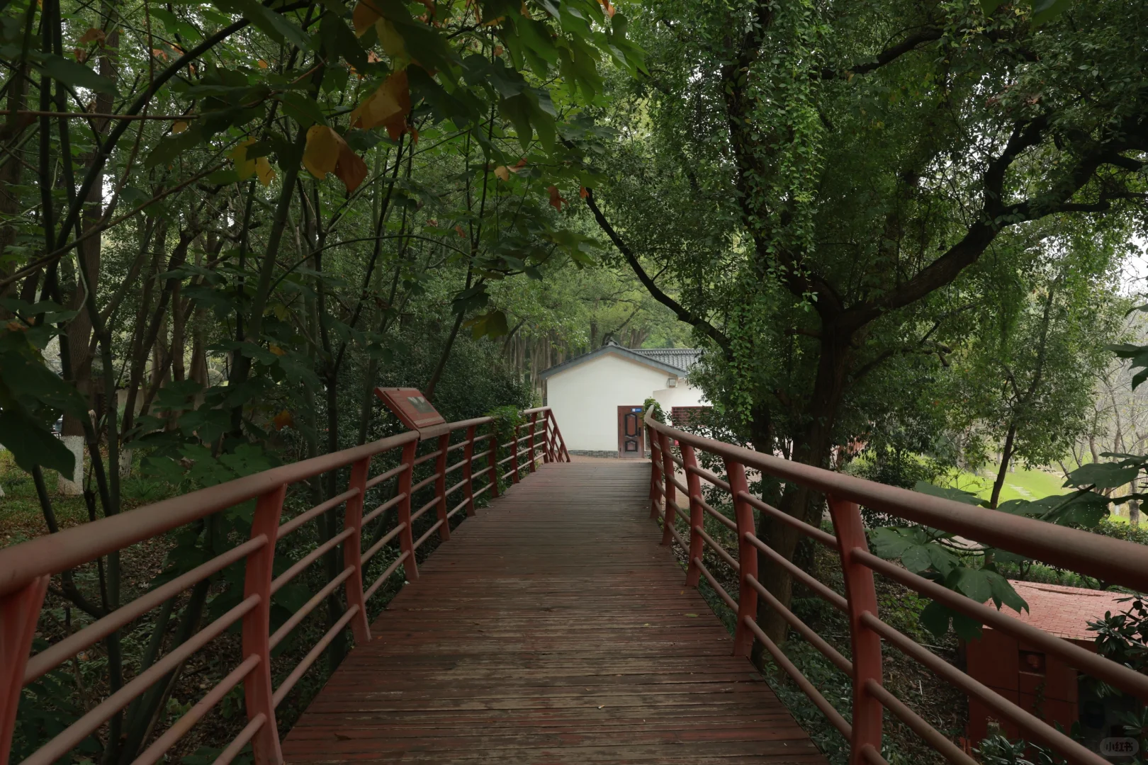 在岳阳发现一个很合适拍日系jk的位置