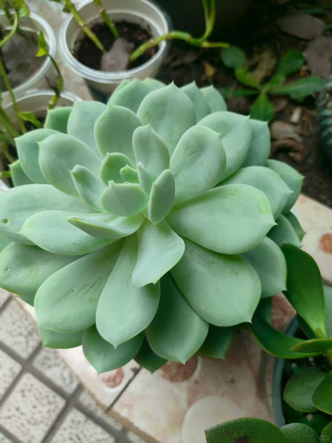 43岁，就要大大方方的漂亮