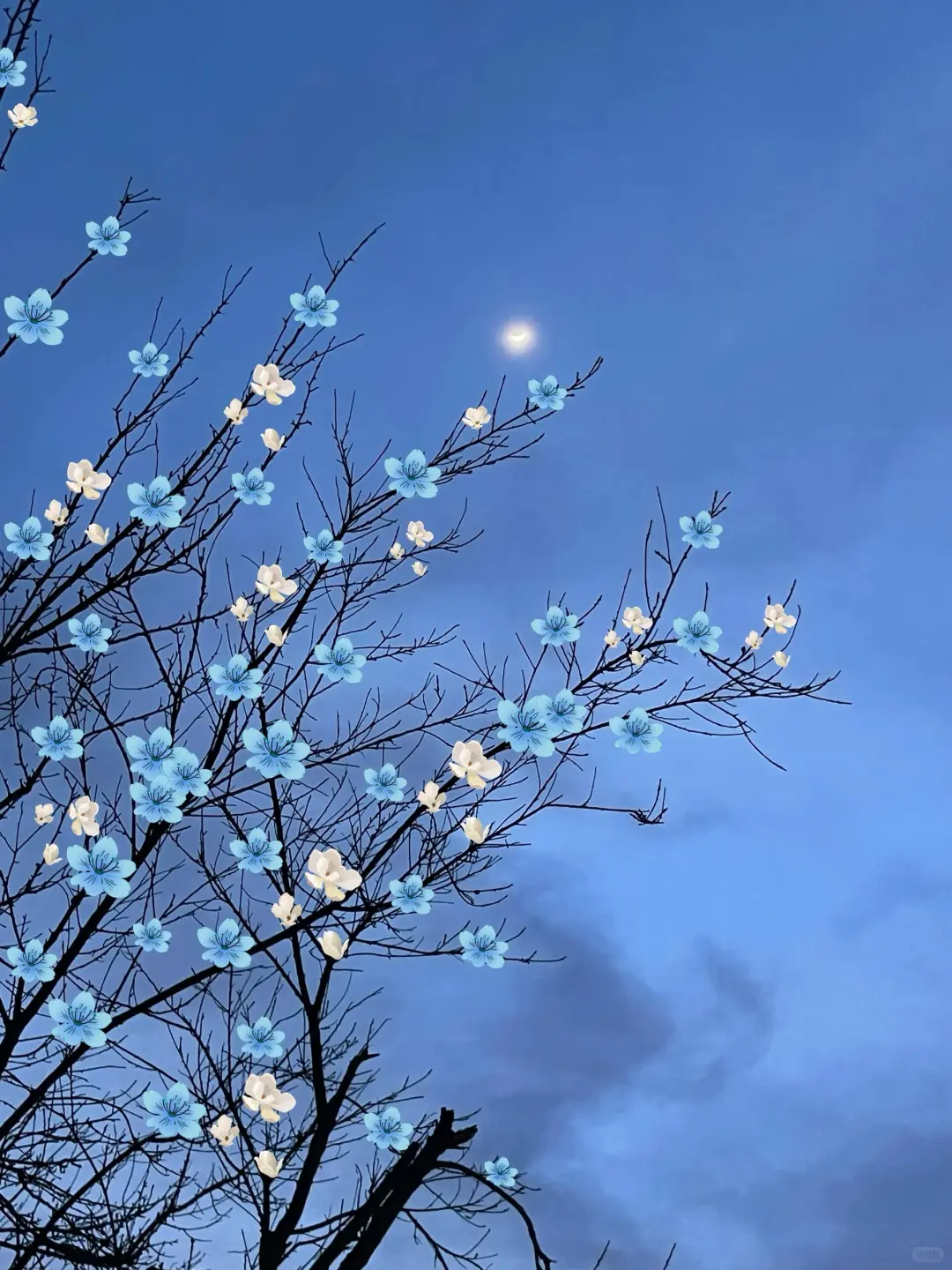 花与树的爱情，四季轮回