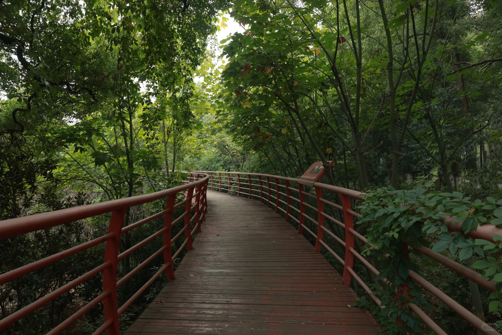 在岳阳发现一个很合适拍日系jk的位置