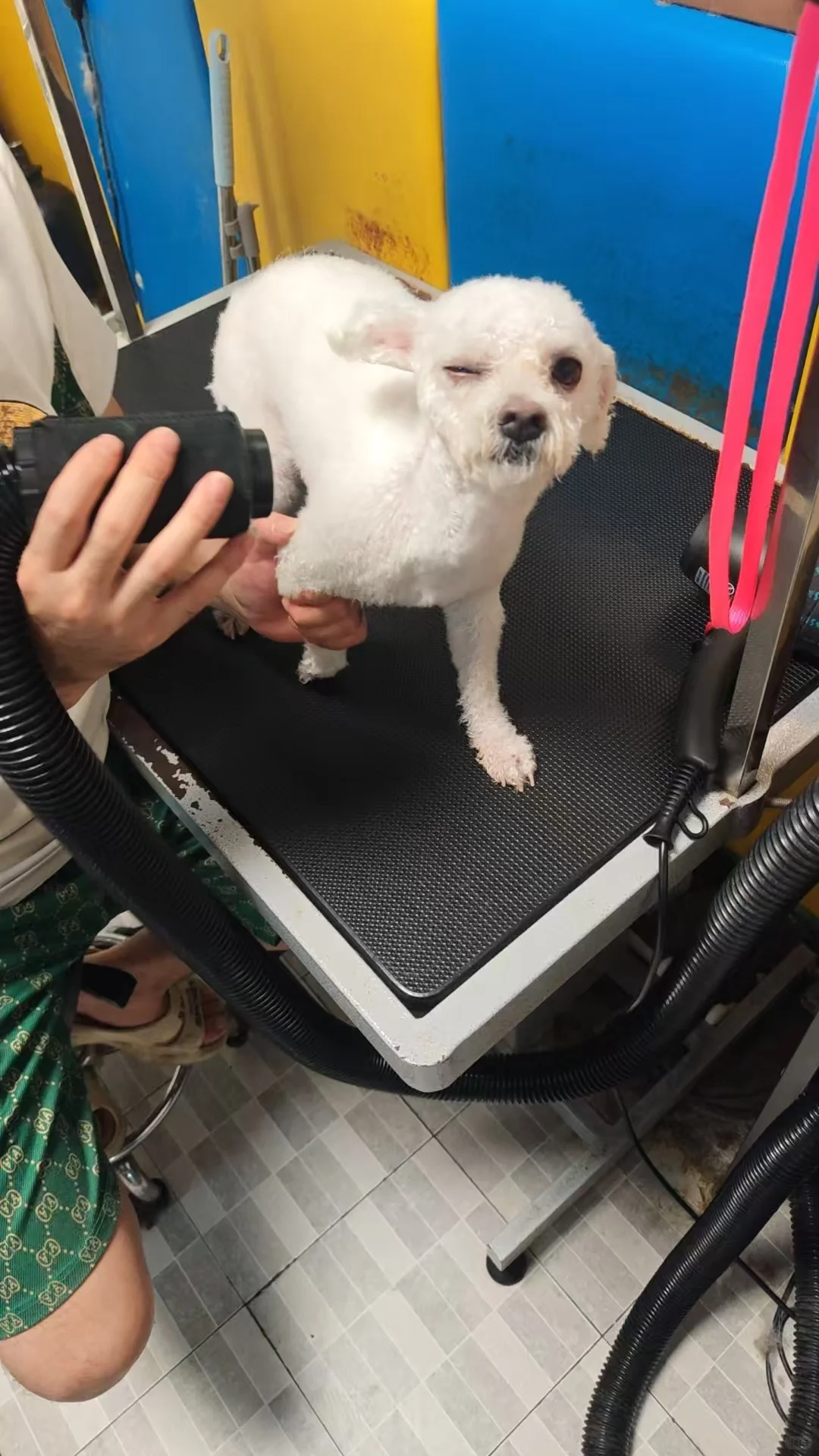 给你们抛个媚眼看看