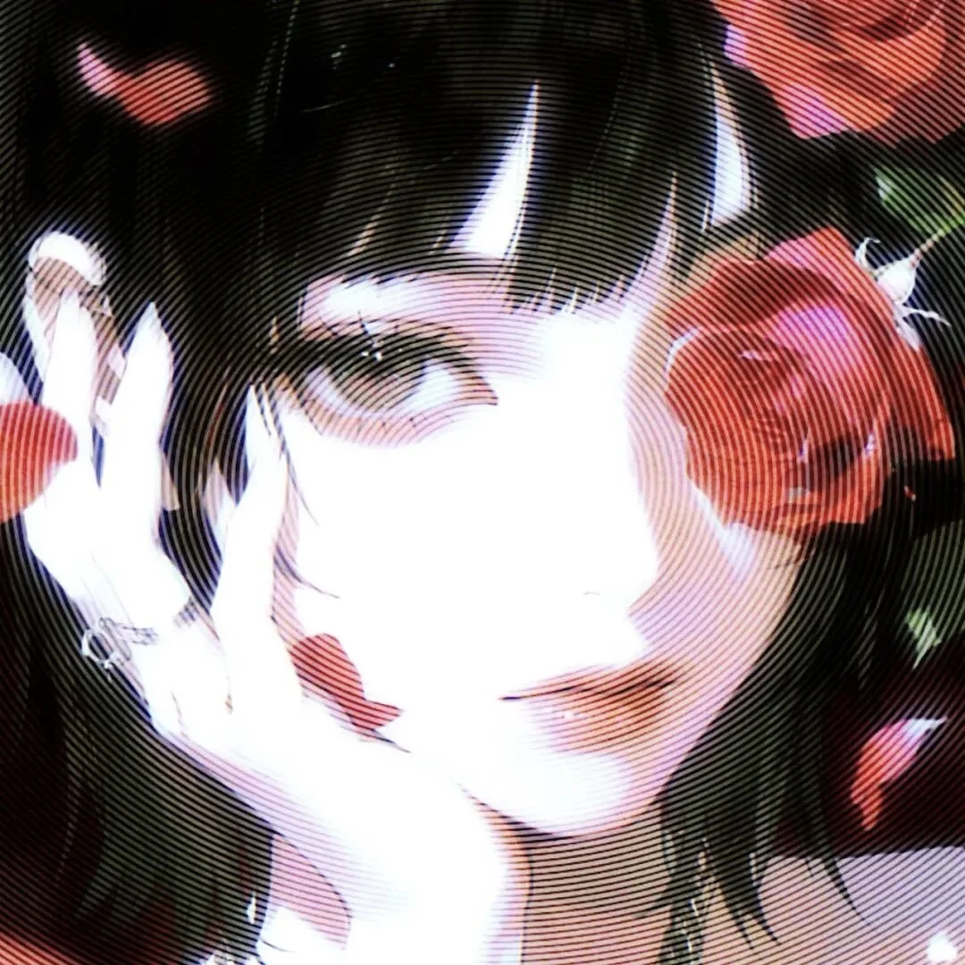𝗪𝗲𝗖𝗵𝗮𝘁唯美|白底高清