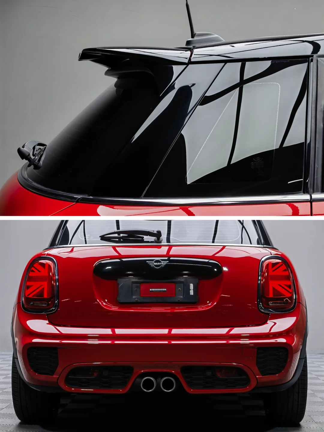 娇艳的玫瑰怎会爱野草！