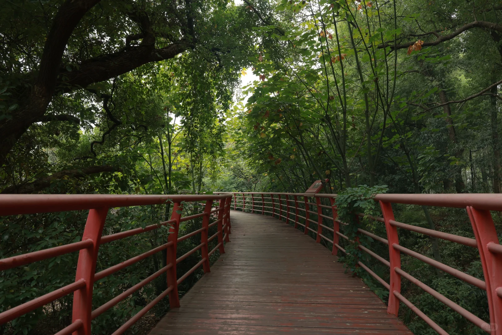 在岳阳发现一个很合适拍日系jk的位置