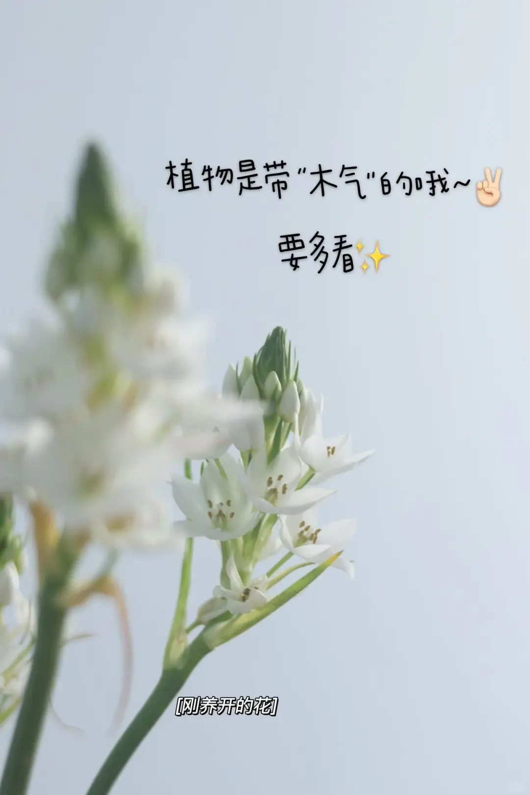 中医养眼睛的❷个要点+❹个方法